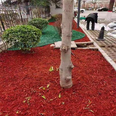 綠化工程有機(jī)覆蓋物 染色樹皮的應(yīng)用與優(yōu)勢(shì)