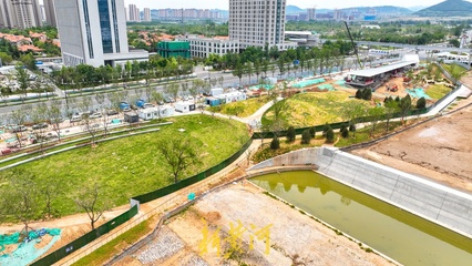 放眼皆是綠！濟南楊家河兩岸綠化提升工程取得新進展