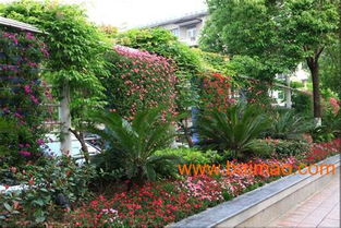 廣東垂直綠化 種植、施工與景觀工程的綜合指南